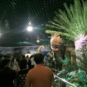 自然博物館がオープン