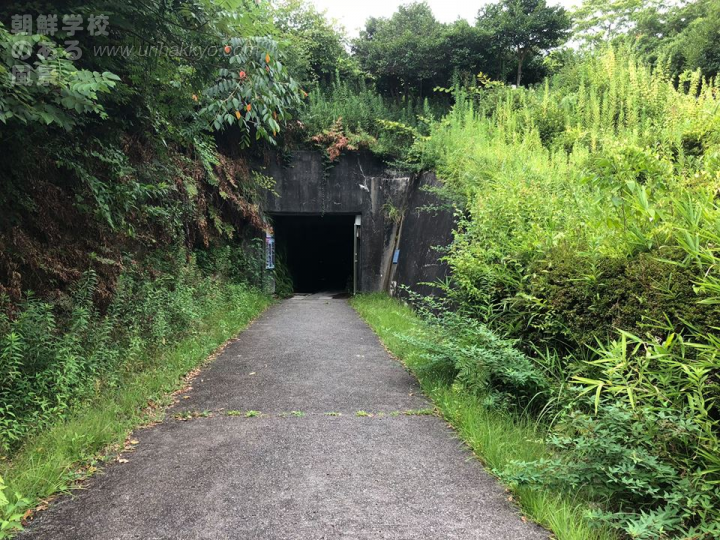 岐阜県瑞浪市 化石博物館