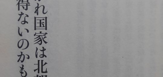 多かれ少なかれ国家は北朝鮮的にならざるを得ないかもしれない